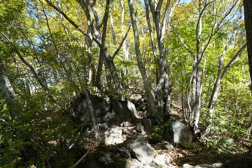 茅ヶ岳へ