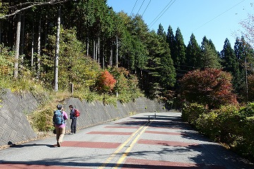 三頭山登山口