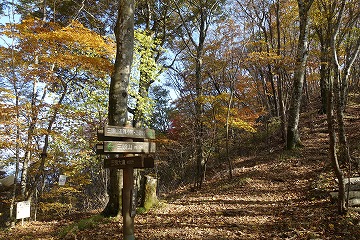 ムシカリ峠