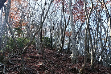 ネクタイ尾根