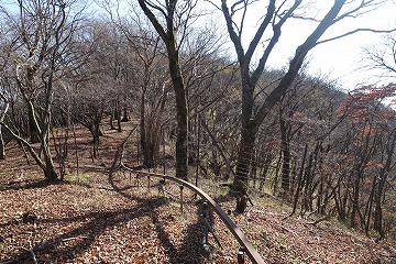 大山北尾根