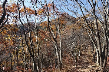 高川山