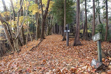 大鐘分岐