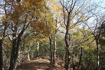 聖峰へ