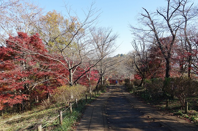 弘法山へ