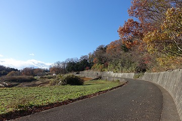 渋沢丘陵