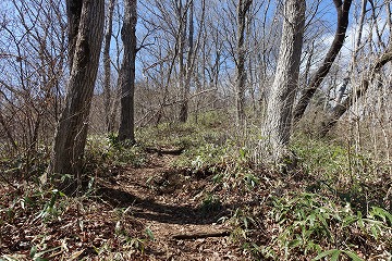 城山北東尾根