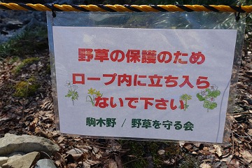 駒木野　野草を守る会
