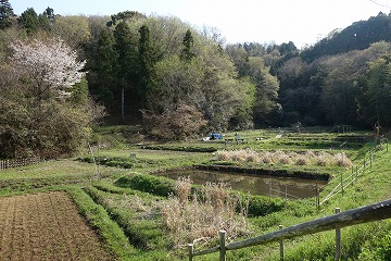 「生き物の里」