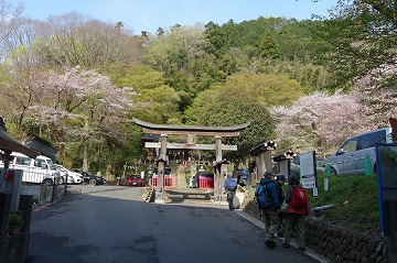 氷川神社