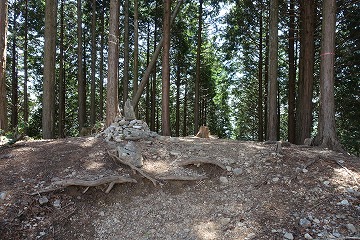 蕨山最高点