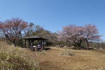 棒ノ折山