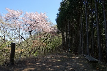 小河内峠