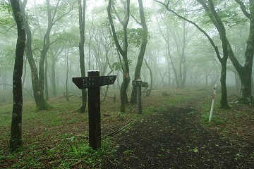ヅナ峠