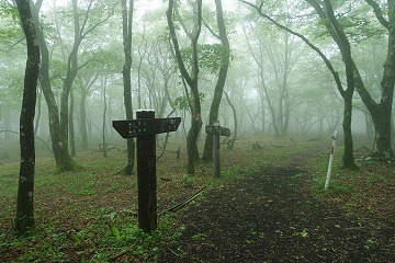 ヅナ峠