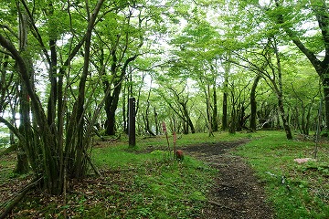 畑尾山