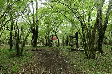 立山展望台分岐