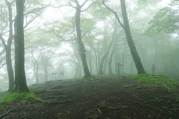 三国山　山頂