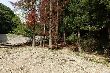 不老山登山口