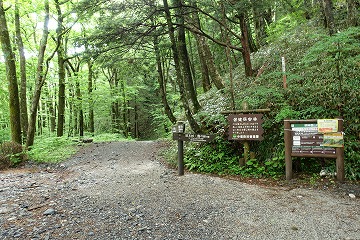 徳本峠分岐