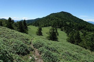 山の散歩道