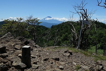 小金沢山