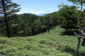 牛奥ノ雁ヶ腹摺山へ