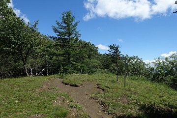 川胡桃沢ノ頭