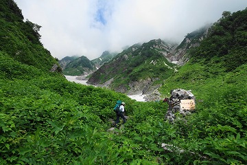 「白馬山国有林」