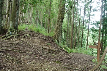 数馬峠