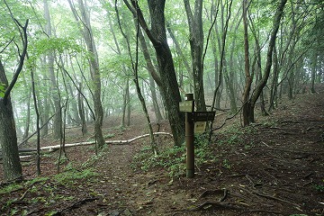 風張峠⇔浅間尾根