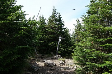 縞枯山　山頂