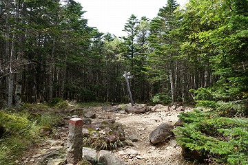 茶臼山　山頂