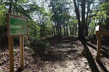 ブナのみち　梅ノ木尾根