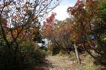 源太森　分岐