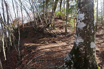 箒沢権現山　分岐