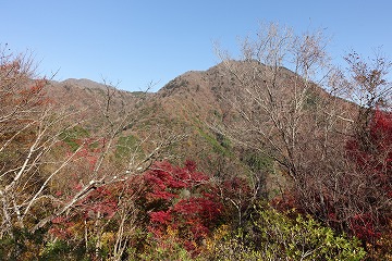 箒沢権現山