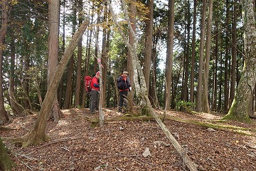 二本杉峠⇔地蔵平