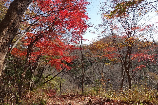 八重山展望台へ