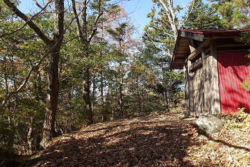 虎丸山　山頂