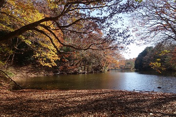 震生湖