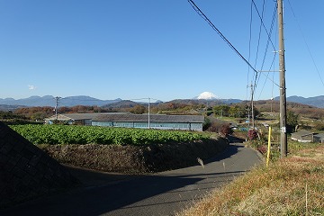 渋沢丘陵