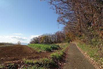 渋沢丘陵