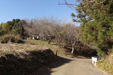 頭高山入口