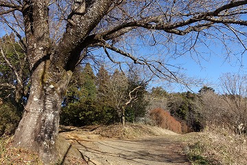 陣馬山　登山口