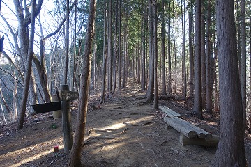 和田分岐