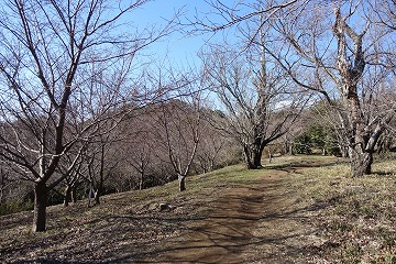 桜台