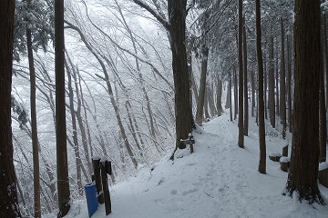 藤野北小学校分岐