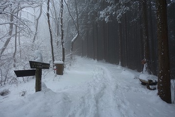 和田分岐