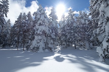 志賀山登山入口？